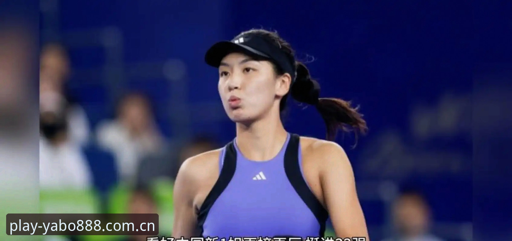 2026法网女单抽签深度分析：郑钦文保分压力与王欣瑜种子征程的完整指南
